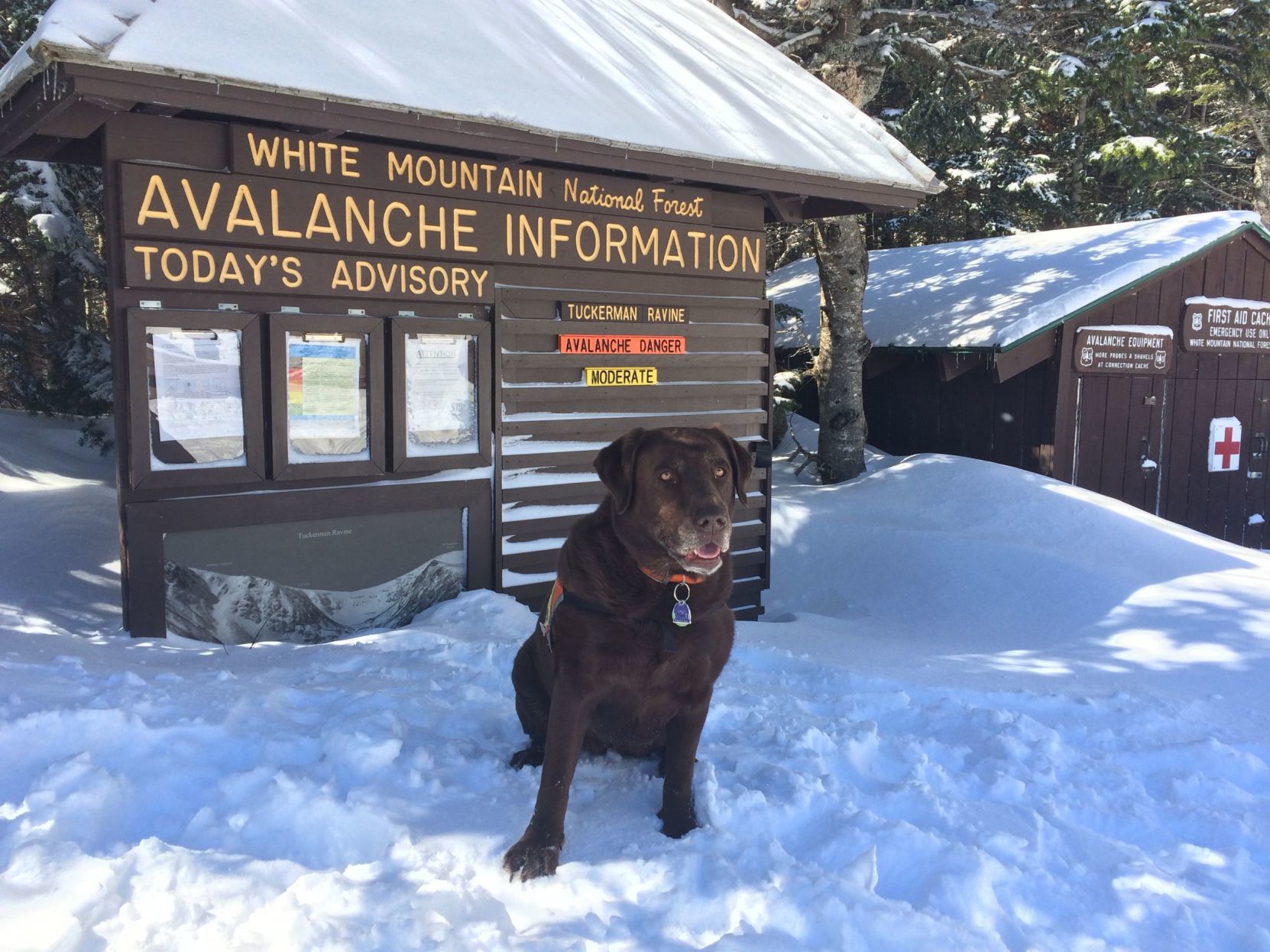 190421-lif-snowranger05 UL_SnowRangers_Lily-sign_McPhaul